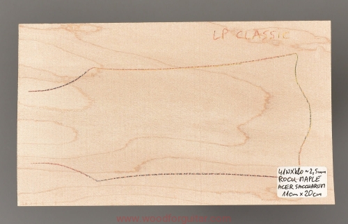 woodforguitar_251headstock.JPG
