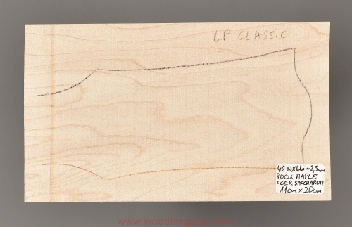 woodforguitar_252headstock.JPG