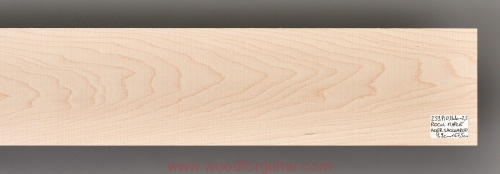 woodforguitar_206laminated neck.JPG