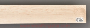ROCK MAPLE blank for laminated guitar neck, 2.5 mm