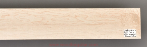 woodforguitar_221laminated neck.JPG
