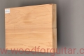 Woodforguitar_249_Guitar_Body_Blank.JPG