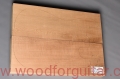 Woodforguitar_191_Guitar_Body_Blank.JPG