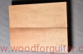 Woodforguitar_192_Guitar_Body_Blank.JPG