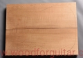 Woodforguitar_205_Guitar_Body_Blank.JPG