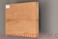 Woodforguitar_285_Guitar_Body_Blank.JPG