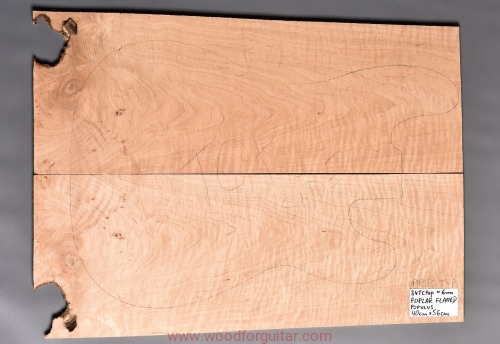 Woodforguitar_332_Guitar_Top_Blank.JPG