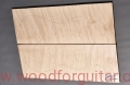 Woodforguitar_192_Guitar_Top_Blank.JPG