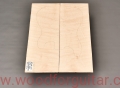 Woodforguitar_204_Body_Blank.JPG