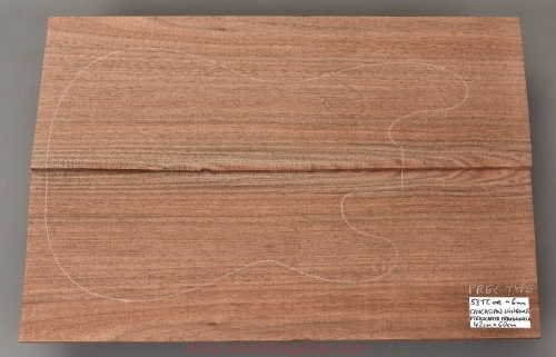 Woodforguitar_210_Body_Blank.JPG