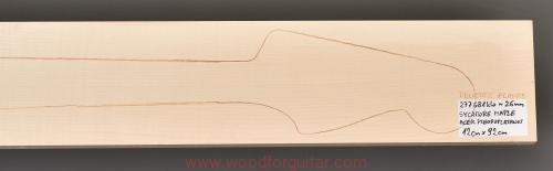 Woodforguitar_220_Guitar_Neck_Blank.JPG