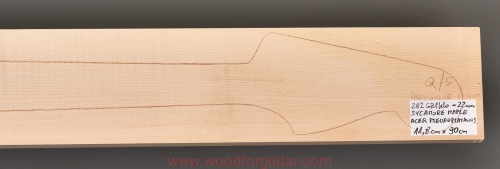 Woodforguitar_236_Guitar_Neck_Blank.JPG