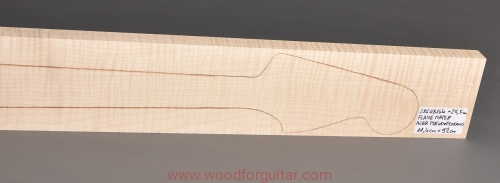 Woodforguitar_856_Bass_Neck_Blank.JPG