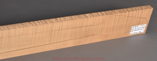 Woodforguitar_773_Bass_Neck_Blank.JPG