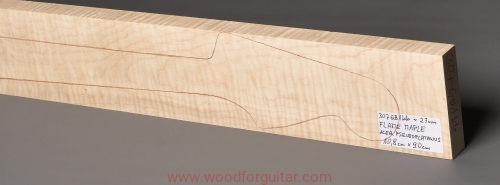 Woodforguitar_231_Bass_Neck_Blank.JPG