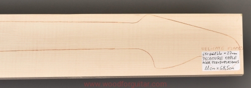 Woodforguitar_260_Guitar_Neck_Blank.JPG