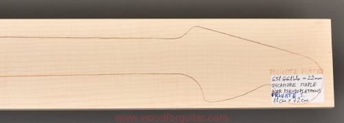 Woodforguitar_268_Guitar_Neck_Blank.JPG