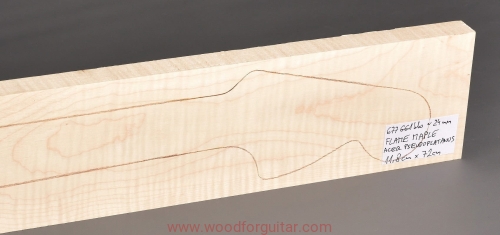 Woodforguitar_605_Maple_Neck_Blank.JPG