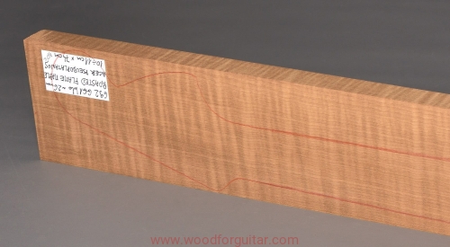 Woodforguitar_167_Maple_Neck_Blank.JPG