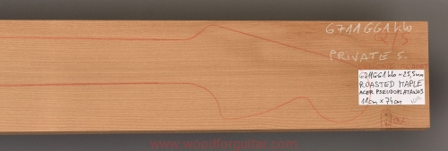 Woodforguitar_300_Guitar_Neck_Blank.JPG