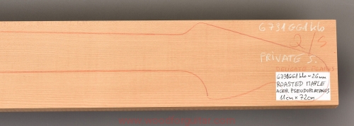 Woodforguitar_420_Guitar_Neck_Blank.JPG