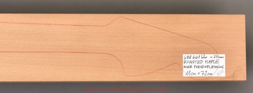 Woodforguitar_508_Guitar_Neck_Blank.JPG