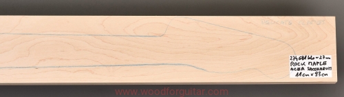 Woodforguitar_1_klon_gryf_gitary_basowej.JPG