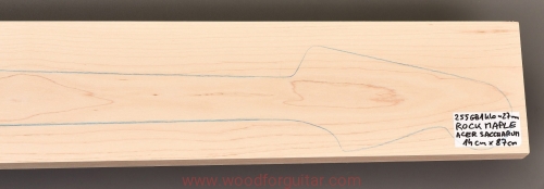 Woodforguitar_181_klon_gryf_gitary_basowej.JPG