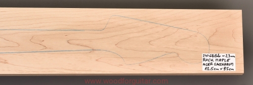 Woodforguitar_81_maple_bass_guitar_blank.JPG