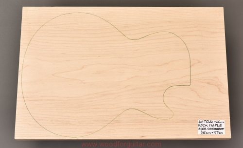Woodforguitar_1_maple_guitar_body_top_blank.JPG