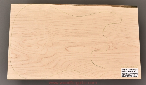 Woodforguitar_51_maple_guitar_body_top_blank.JPG