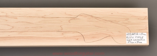 Woodforguitar_201_maple_guitar_neck_blank.JPG