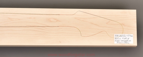 Woodforguitar_321_maple_guitar_blank.JPG