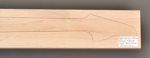 Woodforguitar_331_maple_guitar_blank.JPG