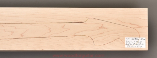 Woodforguitar_341_maple_guitar_blank.JPG
