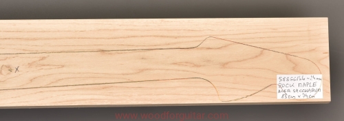 Woodforguitar_381_maple_guitar_blank.JPG