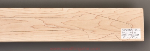 Woodforguitar_441_maple_guitar_blank.JPG