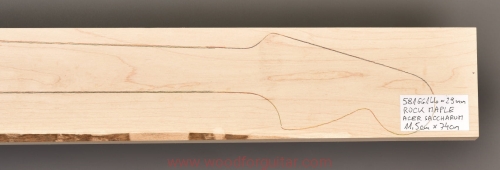Woodforguitar_451_maple_guitar_blank.JPG