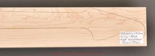 Woodforguitar_491_maple_guitar_blank.JPG
