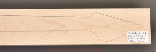 Woodforguitar_371_klon_gryf_gitary.JPG