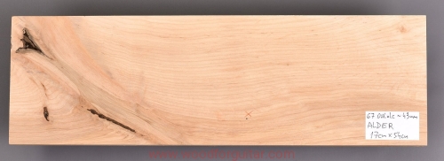 Woodforguitar_alder_olcha_215