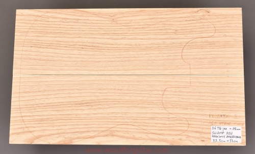 swamp-ash-guitar-top_157.JPG