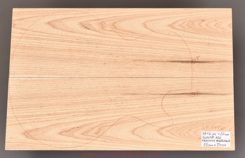 swamp-ash-guitar-top_169.JPG