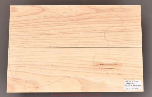 swamp-ash-guitar-top_177.JPG