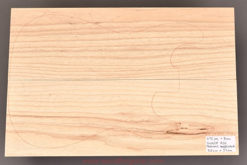 swamp-ash-guitar-top_181.JPG
