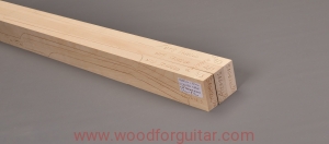 KLON JAWOROWY na 3-cz. gryf gitary basowej NTB, 80 mm