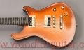 honey-electric-guitar-woodforguitar-body-front-1.jpg