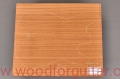 pieczone-ayous-korpus-gitary-woodforguitar_109.JPG