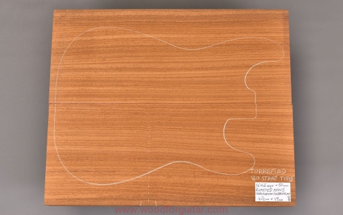 pieczone-ayous-korpus-gitary-woodforguitar_115.JPG