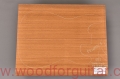 pieczone-ayous-korpus-gitary-woodforguitar_125.JPG